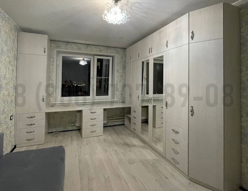 Рабочая зона модель r290 купить в Лосино-Петровском
